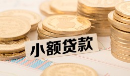 深圳快速哪里有小额贷款-深圳快速身份证贷款平台-深圳快速民间短借
